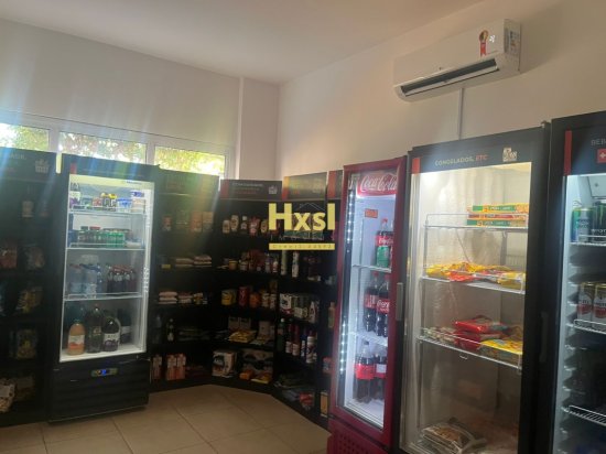 apartamento-aluguel-bom-jardim-1098441